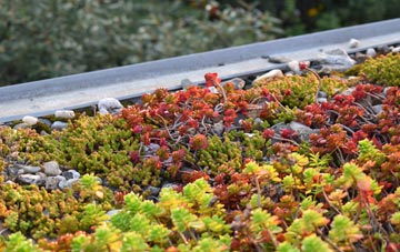 the cost of Thorpe In Balne green roof installation