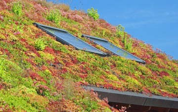 Thorpe In Balne living roof systems